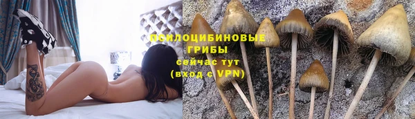 стафф Белокуриха